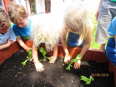 Pflanzung © Kindergarten Tausendfüßler